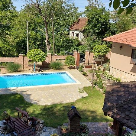Willa Etno Kuca Todorovic Smederevo Zewnętrze zdjęcie