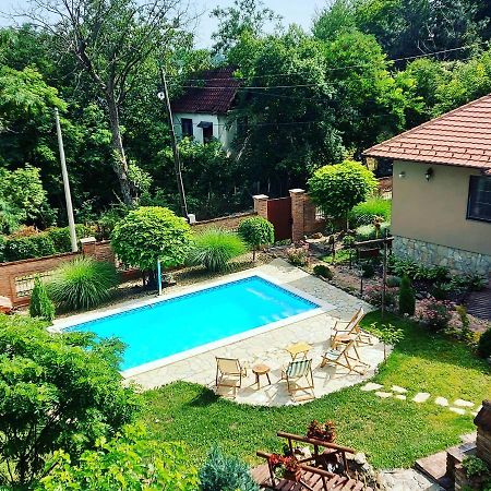 Willa Etno Kuca Todorovic Smederevo Zewnętrze zdjęcie