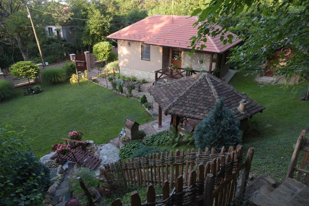 Willa Etno Kuca Todorovic Smederevo Zewnętrze zdjęcie