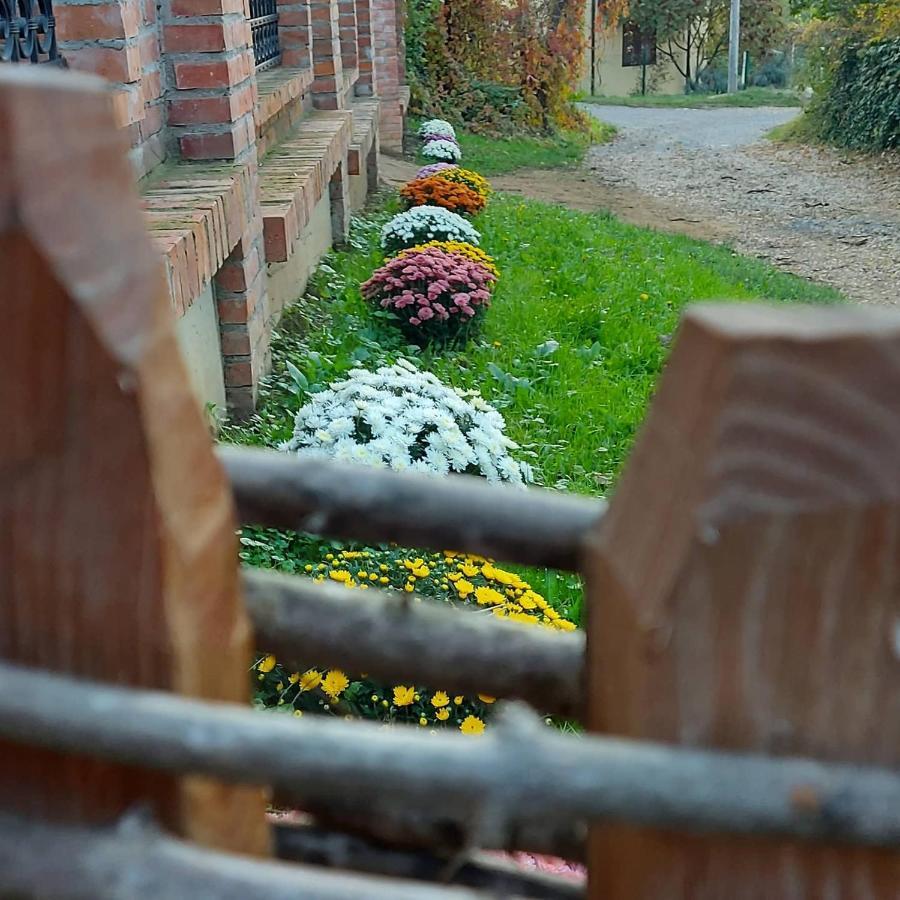 Willa Etno Kuca Todorovic Smederevo Zewnętrze zdjęcie