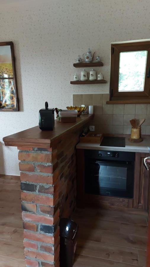 Willa Etno Kuca Todorovic Smederevo Zewnętrze zdjęcie